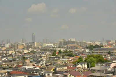 DSC_3827 (Large).JPG